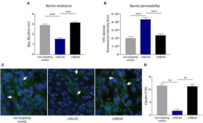 Liver X Receptor Alpha Is Important in Maintaining Blood-Brain Barrier Function